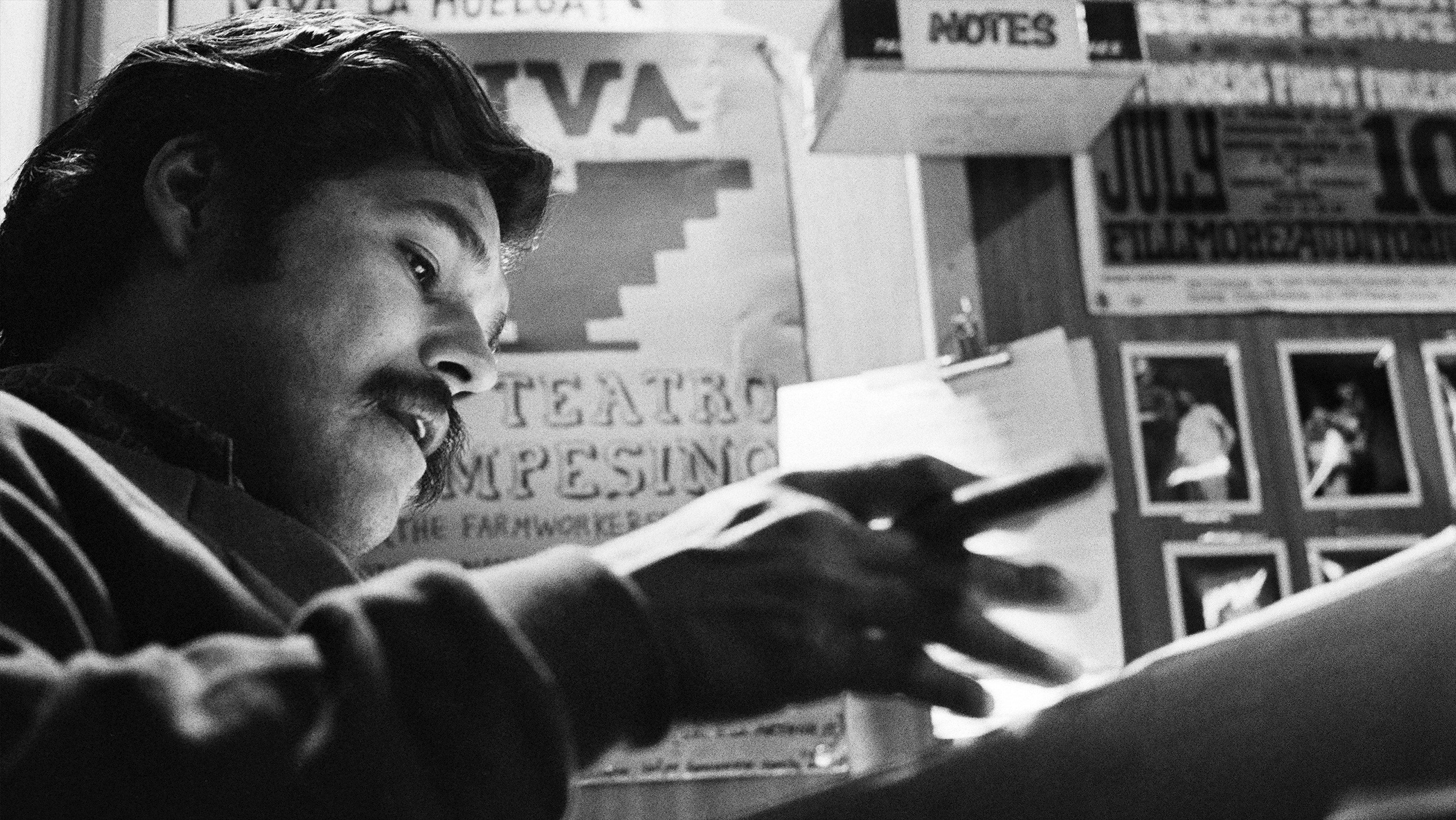 American Pachuco Preview