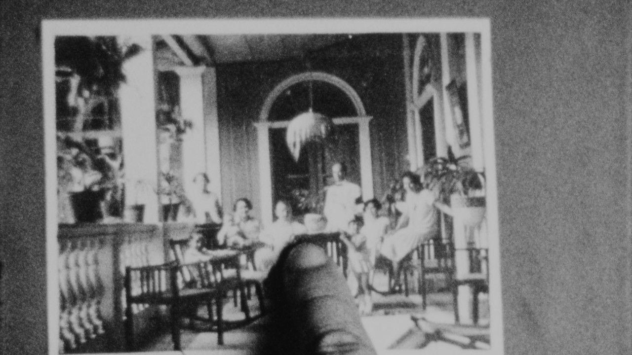 The Memory of Butterflies / La Memoria de Las Mariposas Preview
