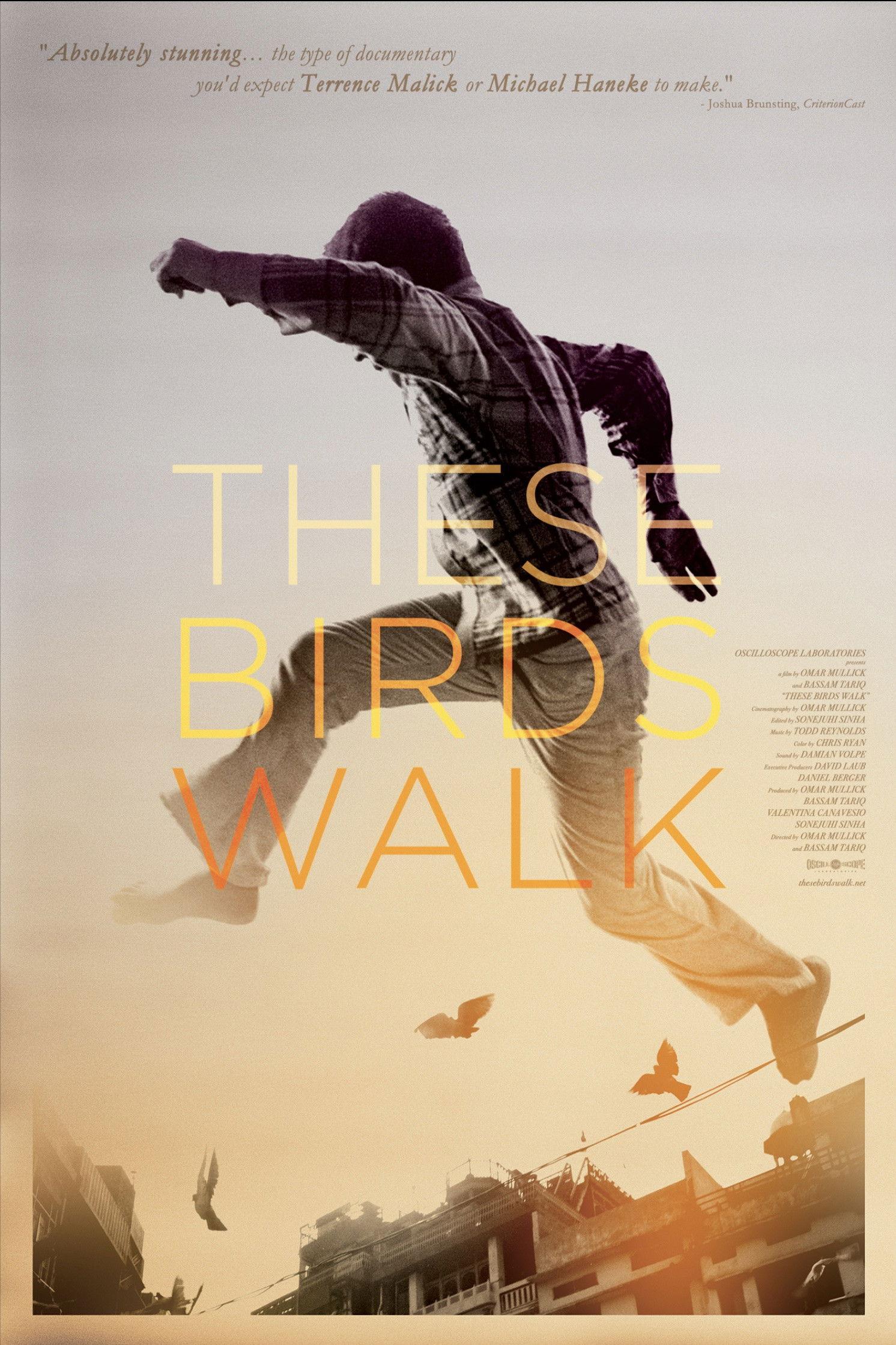 These Birds Walk Preview