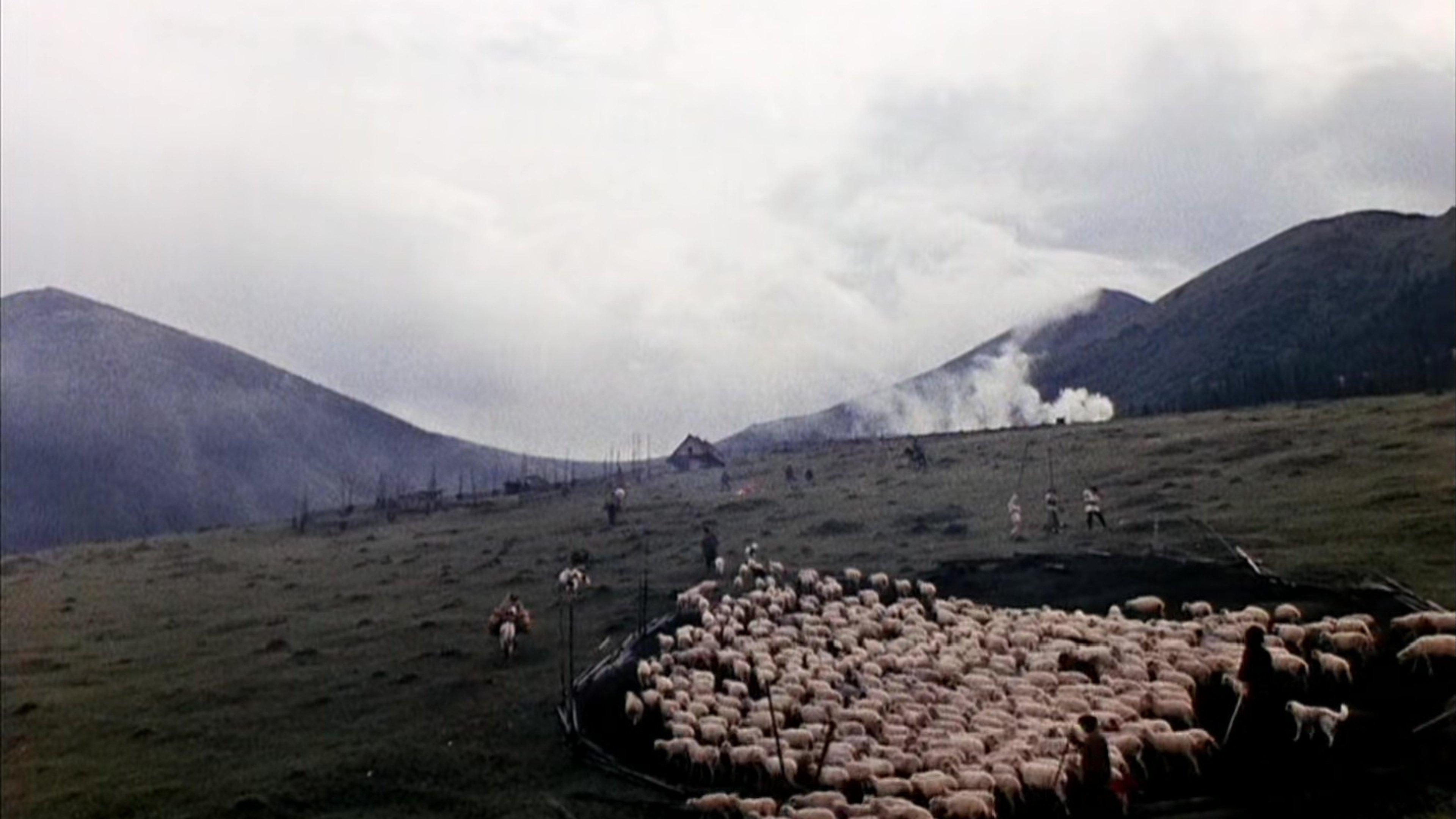 Shadows of Forgotten Ancestors Preview